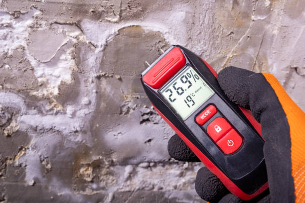 Best Emergency Mold Removal  in Gun Barrel City, TX