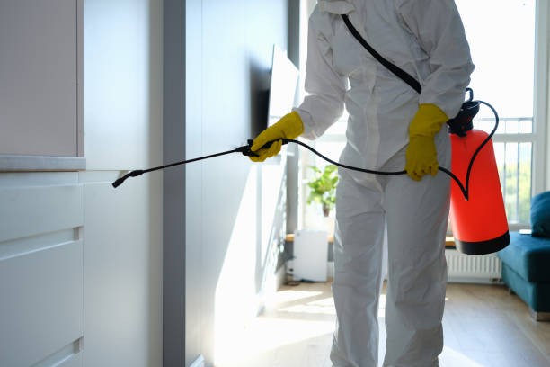 Best Certified Mold Removal  in Gun Barrel City, TX