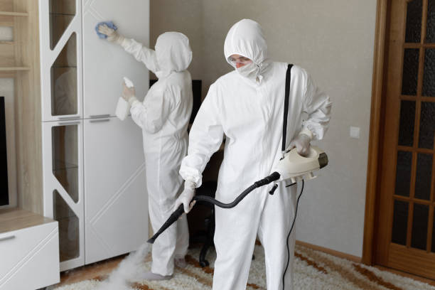 Best Professional Mold Removal  in Gun Barrel City, TX