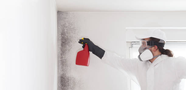 Best Emergency Mold Removal  in Gun Barrel City, TX